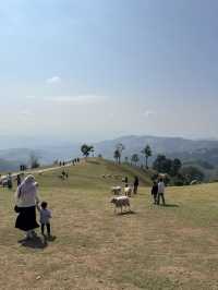 Akha farmville