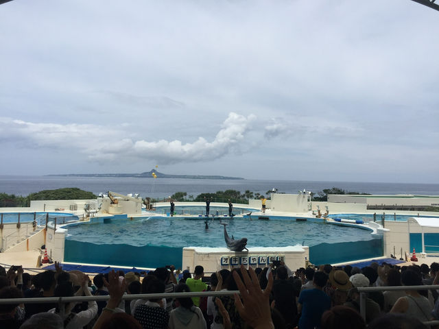 ☀️Summer in Okinawa 🏝️