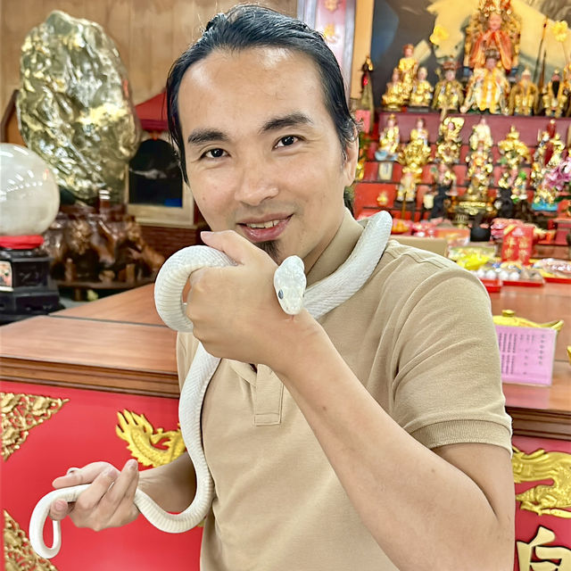 桃園🌿 楊梅一日小旅行｜免費拍照景點＋秘境體驗！