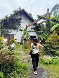 The Tropical Eco-Cafe