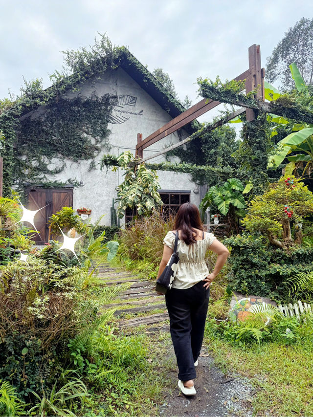 The Tropical Eco-Cafe