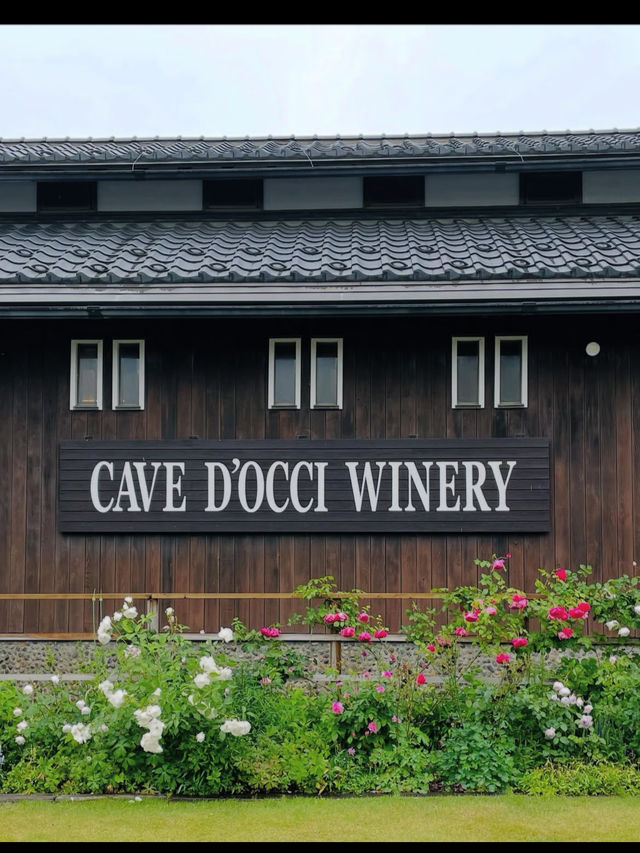 ぶどう畑に包まれて。カーブドッチワイナリーで過ごす優雅な休日🍷