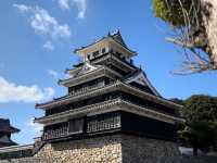 🏯 Nakatsu Castle – A Serene Glimpse into Feudal Japan