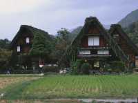 วันเดย์ทริปที่ชิราคาวาโกะ (Shirakawa-go)