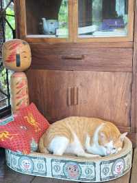 Chanburin Cafe คาเฟ่ลับในสวน