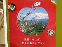 🍏 Sweet Apple Delights at Ringo no Ie Café – A Cozy Treat in Hirosaki