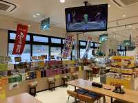 🚗 Rest & Recharge at Kamiita Service Area (Westbound)