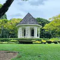 A Green Getaway in the Heart of the City 🇸🇬