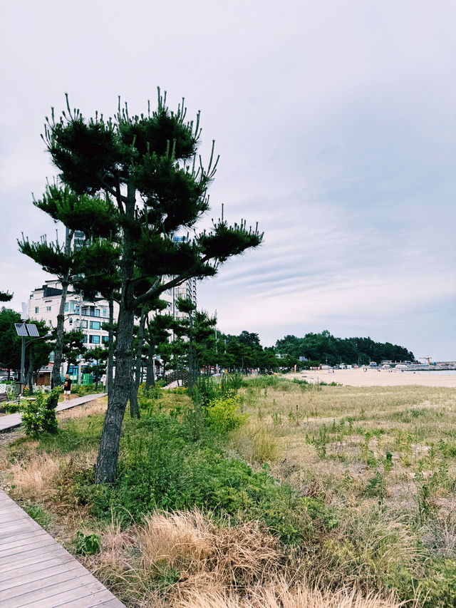 강원도 양양 여행 가이드!