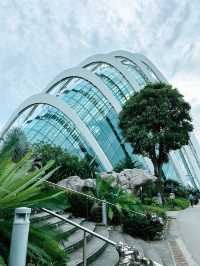 Discover the Beauty of the Cloud Forest Dome and Its Scenic Surroundings 