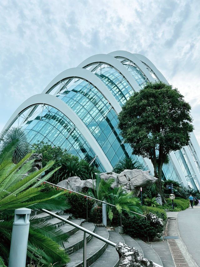 Discover the Beauty of the Cloud Forest Dome and Its Scenic Surroundings 