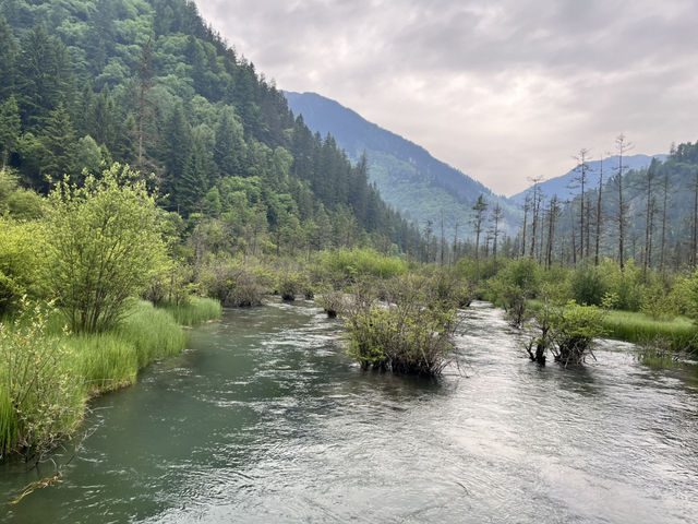 🏞️Epic Nature Combo: Huanglong + Jiuzhaigou Summer Adventure