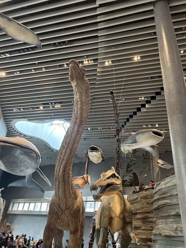 พาเที่ยว พิพิธภัณฑ์ธรรมชาติกลางเซี่ยงไฮ้ 🇨🇳🦖
