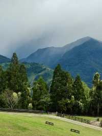 🌄 清境農場全攻略｜綿羊、山景、療癒放空一日遊 🐑🍃