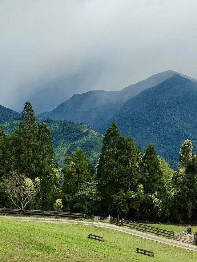 🌄 清境農場全攻略｜綿羊、山景、療癒放空一日遊 🐑🍃