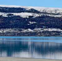 A Blue So Bold: The Magic of Lake Pukaki!