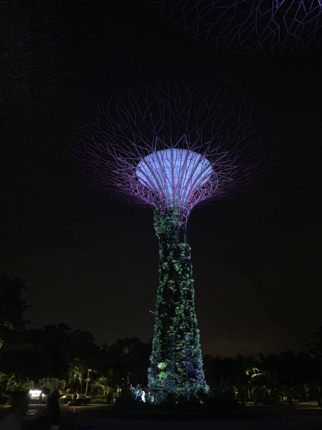 ที่เที่ยวในสิงคโปร์