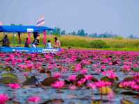 ทะเลบัวแดง อ.กุมภวาปี จ.อุดรธานี