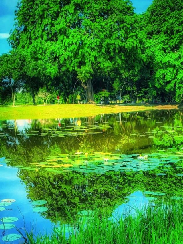 🚣‍♀️🌴 Make a Splash in KL! Water Fun at Tasik Titiwangsa 🌆💦