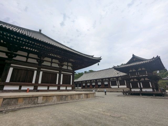 奈良 | 唐招提寺，走訪千年古剎