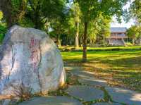 嶺頂公園｜台南最療癒的觀景祕境，在山林裡看見整片平原