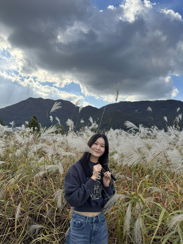 국내 여행지 추천 ❤️🤩
