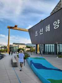 현시각 가장 아름다운 거제 수국명소