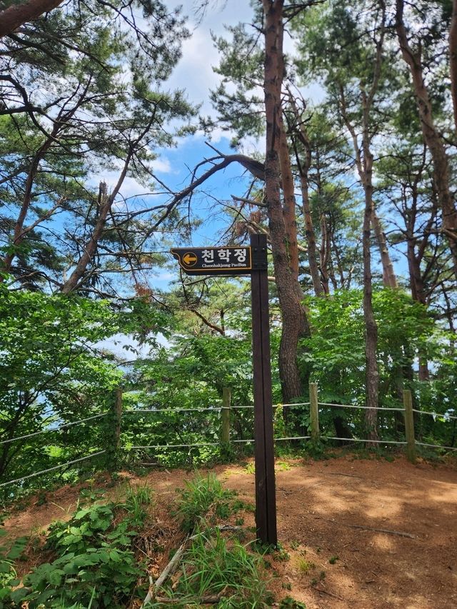 💖동해바다 풍경으로 속이 뻥 뚫리는 강원도고성 "천학정"💖