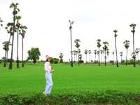 จุดชมวิวดงตาลสามโคก ที่เที่ยวปทุมธานี