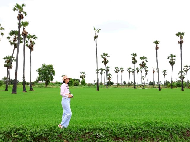 จุดชมวิวดงตาลสามโคก ที่เที่ยวปทุมธานี