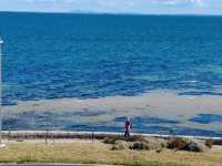 Point Ormond Lookout：墨尔本绝美日落与城市天际线观景台