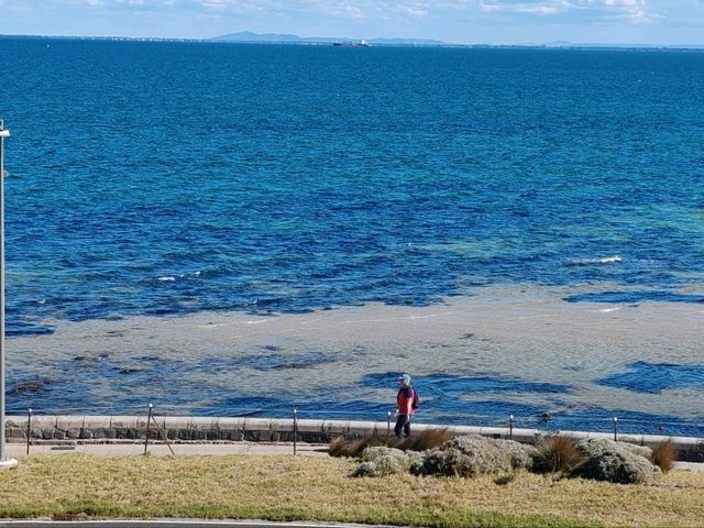 Point Ormond Lookout：墨尔本绝美日落与城市天际线观景台