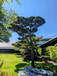 Nezu Museum: Tokyo’s Hidden Garden of Art