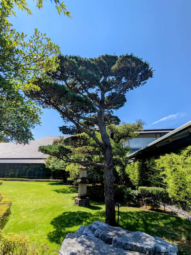 Nezu Museum: Tokyo’s Hidden Garden of Art