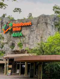 🌳🐒 “Step into the Wild!” – Asian Rainforest Adventure Singapore 