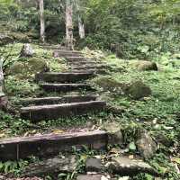 新竹馬武督森林遊樂區🌳