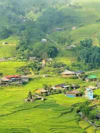 Sapa