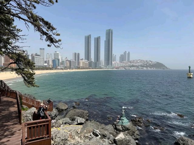 Haeundae Magic