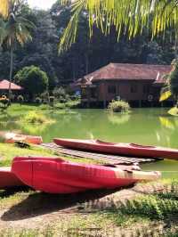 Where Village Charm Meets Nature – Explore Peladang Setiu