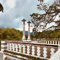 Taman Tasik Taiping: A Misty Summer Morning in Malaysia’s Oldest Garden