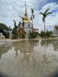 วัดป่าดาราภิรมย์ – สถานที่สงบงามแห่งแม่ริม