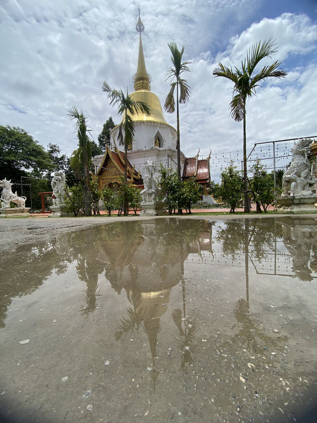 วัดป่าดาราภิรมย์ – สถานที่สงบงามแห่งแม่ริม