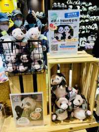 【黃竹坑】香港海洋公園：探訪大熊貓雙胞胎家姐細佬