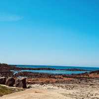 A Peaceful Local Beach for Tranquil Relaxation