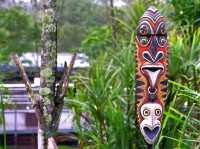 Venture into Mysterious Papua