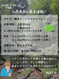 【完全版】西表島観光＆アクセス＆注意点ぜんぶまとめ