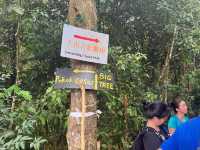 🏞 Gunung Lambak: Conquered the Jungle Beast!