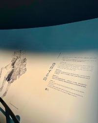[Japan 🇯🇵] Mount Fuji World Heritage Centre Shizuoka: Your Ultimate Fuji Experience!