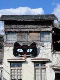 🇯🇵 Tokyo’s Secret Cat Town: A Nostalgic Escape to Ōme City 🐾📷
