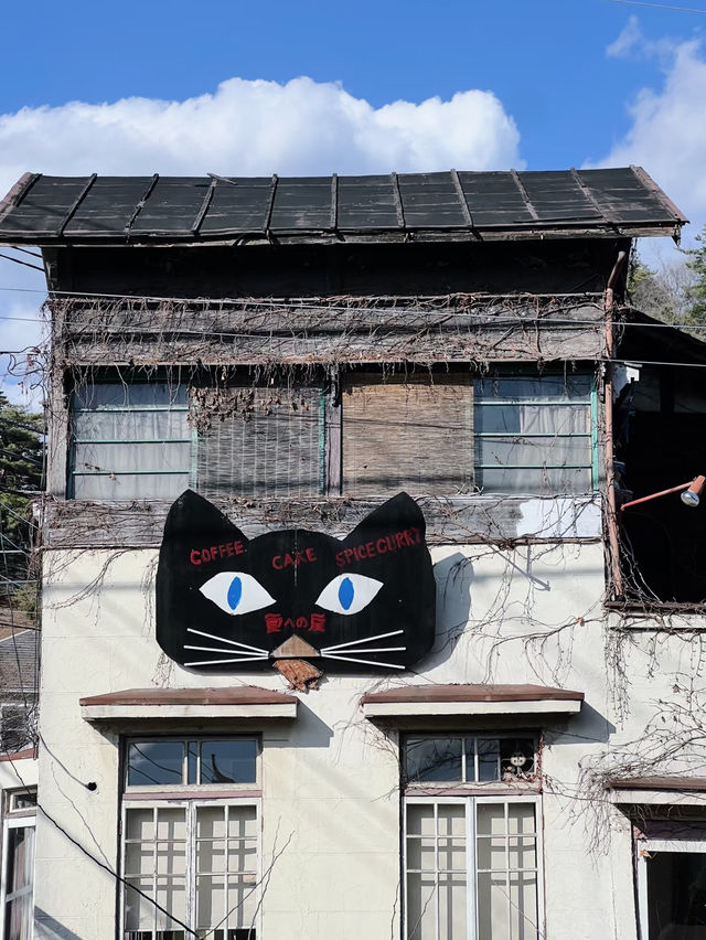 🇯🇵 Tokyo’s Secret Cat Town: A Nostalgic Escape to Ōme City 🐾📷